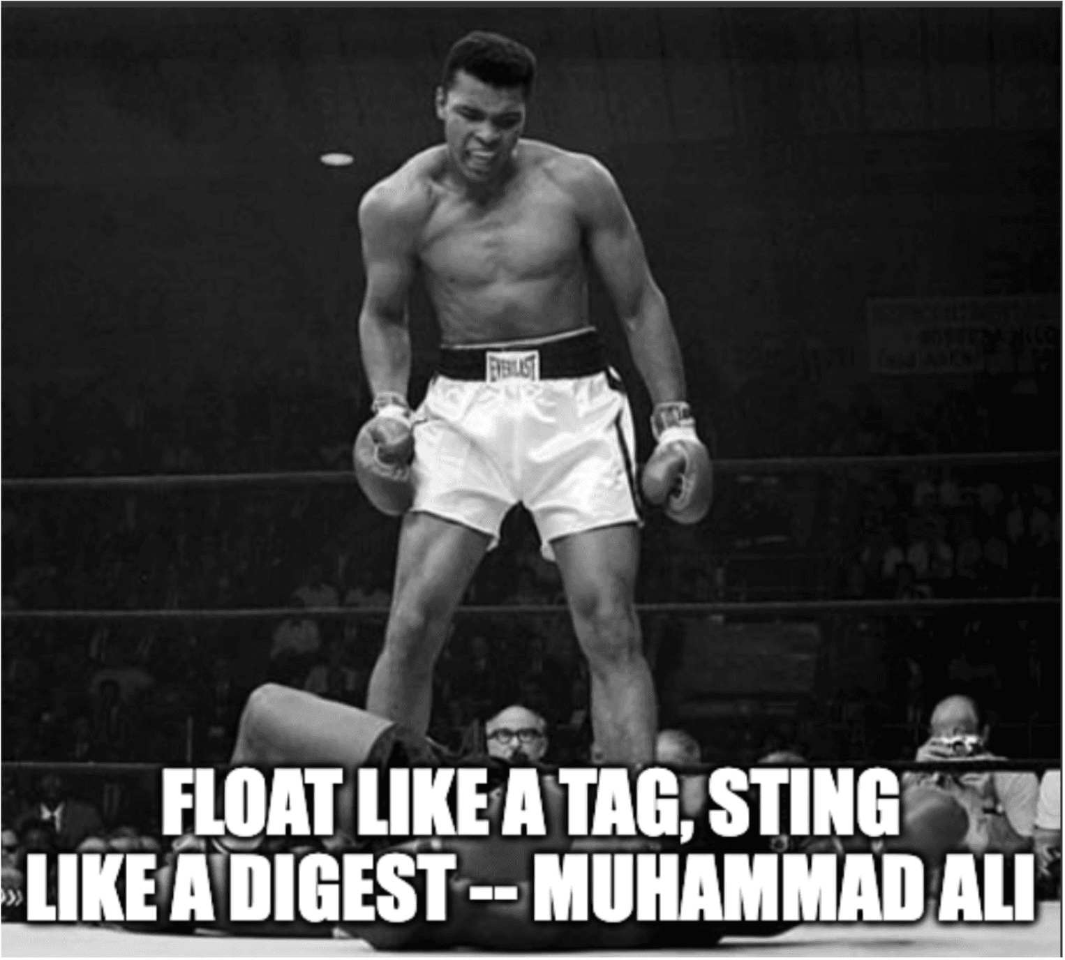 Meme of Muhammad Ali with text: float like a tag, sting like a digest — Muhammad Ali.